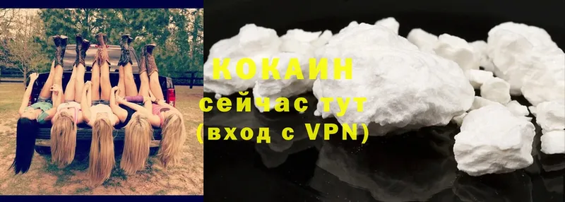 Cocaine Fish Scale  Лобня 